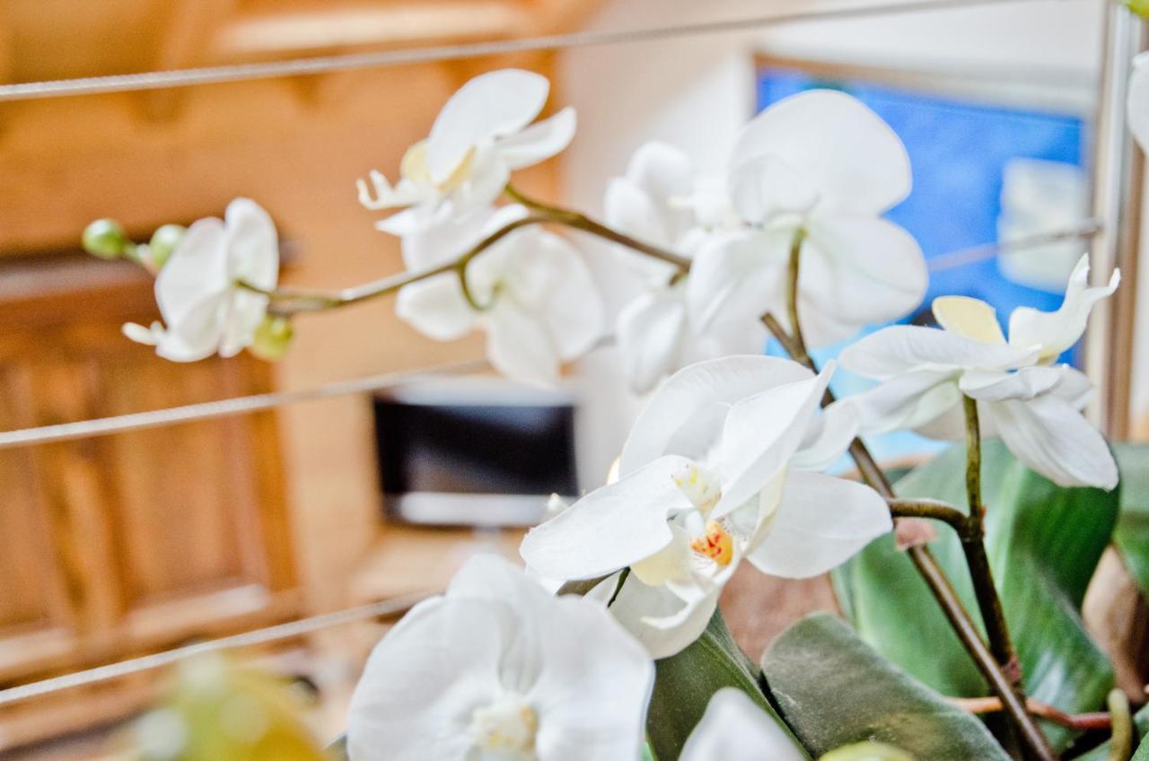 Apartment Baergrose - Griwa Rent Ag Grindelwald Ngoại thất bức ảnh